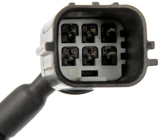 Park Assist Camera Dorman-OE Solutions 590-407