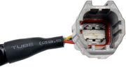 Park Assist Camera Dorman-OE Solutions 590-485