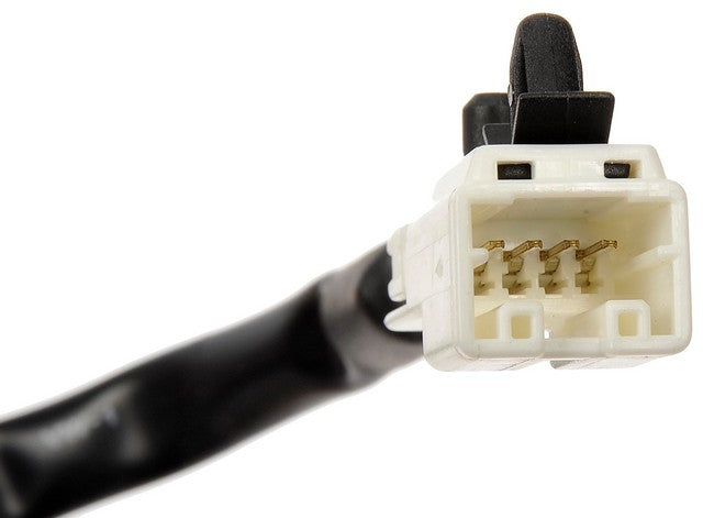 Park Assist Camera Dorman-OE Solutions 590-601