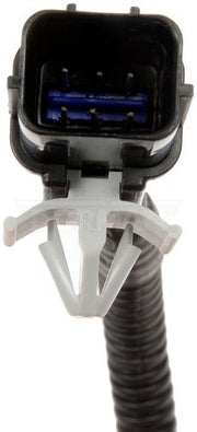 Park Assist Camera Dorman-OE Solutions 590-613