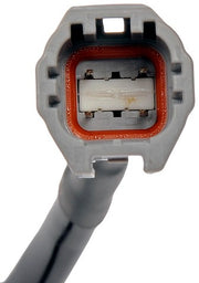 Park Assist Camera Dorman-OE Solutions 590-622