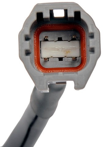 Park Assist Camera Dorman-OE Solutions 590-622