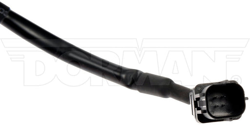 Park Assist Camera Dorman-OE Solutions 590-633