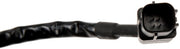 Park Assist Camera Dorman-OE Solutions 590-658