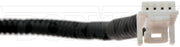 Park Assist Camera Dorman-OE Solutions 590-679