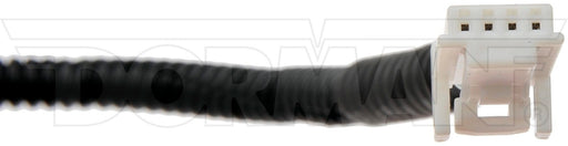 Park Assist Camera Dorman-OE Solutions 590-679
