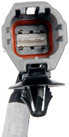 Park Assist Camera Dorman-OE Solutions 590-919