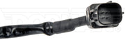 Park Assist Camera Dorman-OE Solutions 590-936