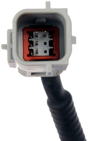 Park Assist Camera Dorman-OE Solutions 591-003