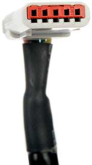 Park Assist Camera Dorman-OE Solutions 592-214