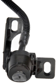 Park Assist Camera Dorman-OE Solutions 592-252