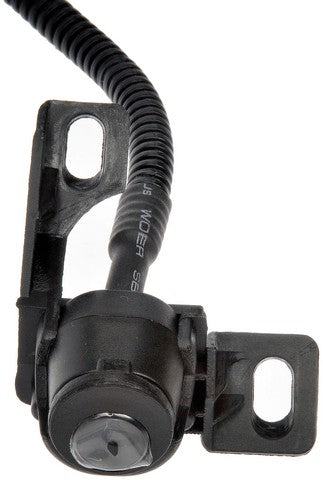 Park Assist Camera Dorman-OE Solutions 592-252