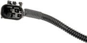 Park Assist Camera Dorman-OE Solutions 592-267