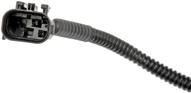 Park Assist Camera Dorman-OE Solutions 592-267