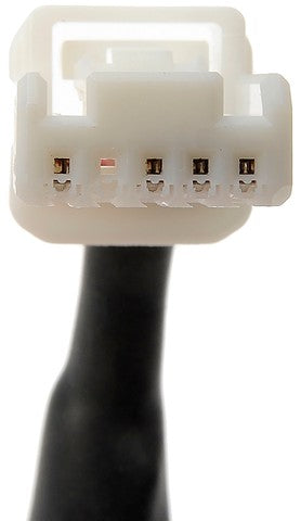 Park Assist Camera Dorman-OE Solutions 592-269