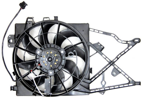 Engine Cooling Fan Assembly Agility Autoparts 6032103