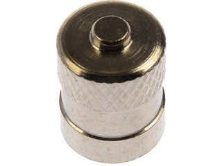 Tire Pressure Monitoring System (TPMS) Valve Stem Cap Dorman-OE Solutions 609-131