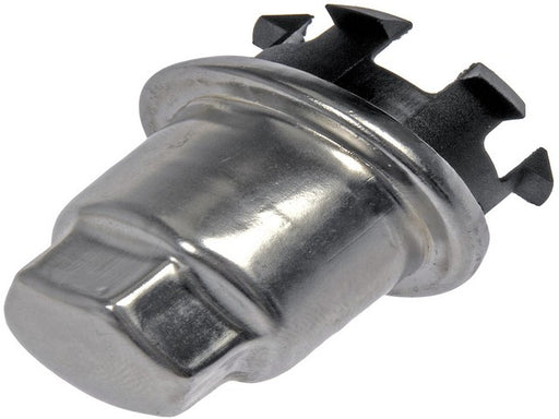 Wheel Nut Cover Dorman-AutoGrade 611-628.1