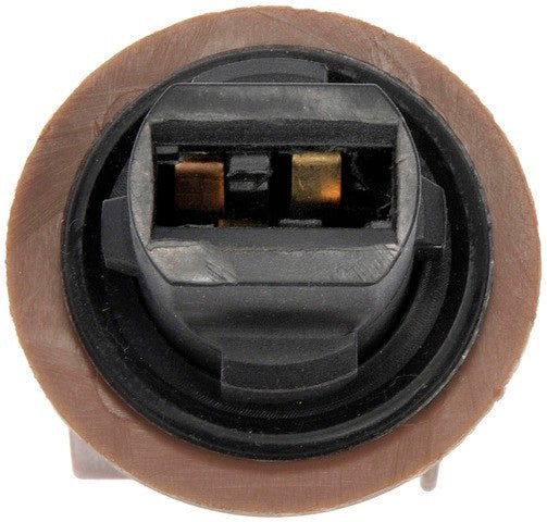 Exterior Light Bulb Socket Dorman-Techoice 645-103