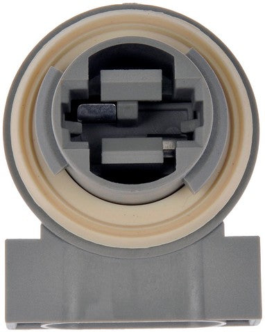 Cornering Lamp Socket Dorman-Techoice 645-104