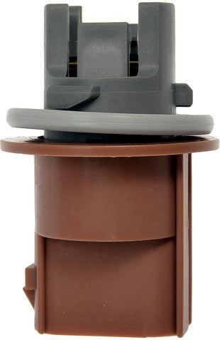 Back Up Light Socket Dorman-Techoice 645-195