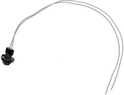License Lamp Connector Dorman-Techoice 645-534