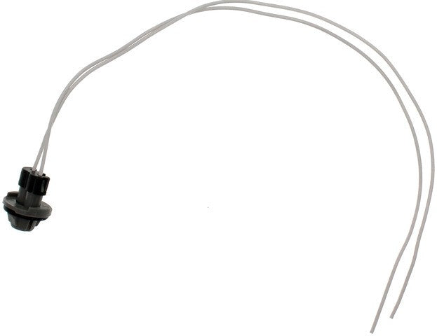 License Lamp Connector Dorman-Techoice 645-534