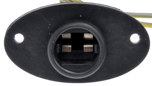 License Lamp Socket Dorman-Techoice 645-748