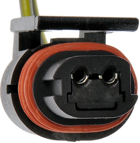 License Lamp Socket Dorman-Techoice 645-748