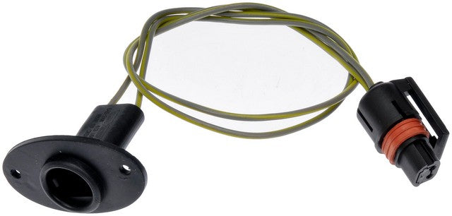 License Lamp Socket Dorman-Techoice 645-748