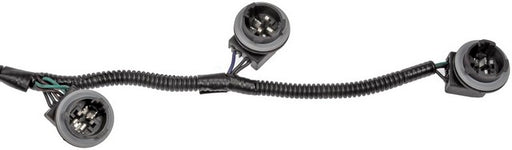 Tail Light Wiring Harness Dorman-Techoice 645-930