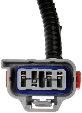 Tail Light Wiring Harness Dorman-Techoice 645-936
