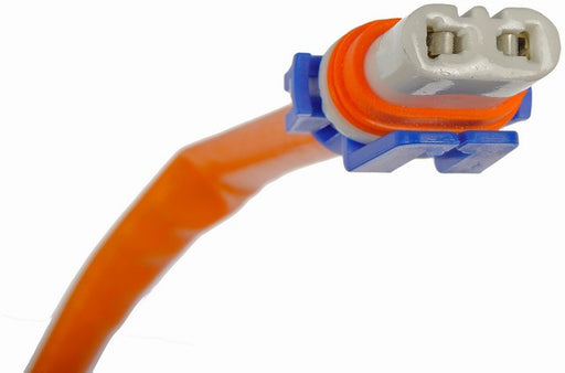 Headlamp Socket Dorman-Techoice 645-995