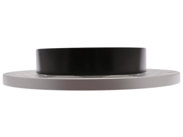Disc Brake Rotor Raybestos Brakes 66448PER