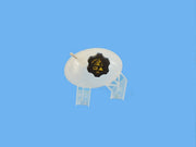 Drive Motor Coolant Mopar 68289857AA