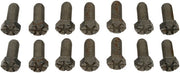 Differential Bearing Kit Dorman-OE Solutions 697-031