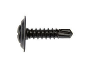 Screw Dorman 700-152BX