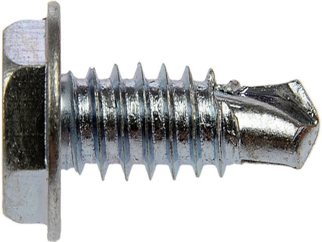 Screw Dorman-AutoGrade 700-221