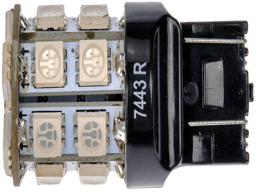 Tail Light Bulb Dorman 7443R-SMD