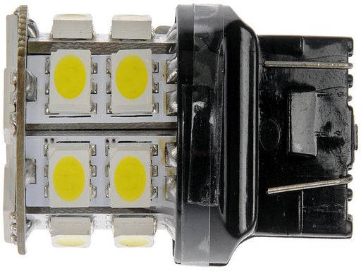 Side Marker Light Bulb Dorman 7443W-SMD