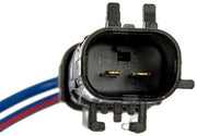 Window Motor and Regulator Assembly Dorman-OE Solutions 748-019