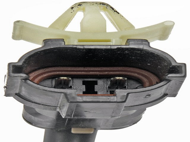 Window Motor and Regulator Assembly Dorman-OE Solutions 748-306