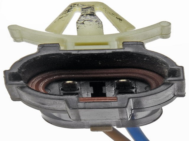Window Motor and Regulator Assembly Dorman-OE Solutions 748-307