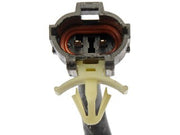Window Motor and Regulator Assembly Dorman-OE Solutions 748-362