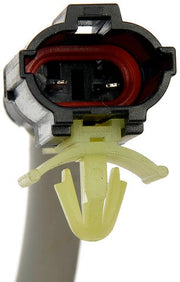 Window Motor and Regulator Assembly Dorman-OE Solutions 748-385
