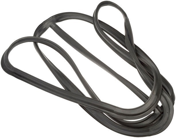 Windshield Seal Dorman-HD Solutions 750-5200