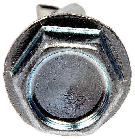 Screw Dorman-AutoGrade 700-213
