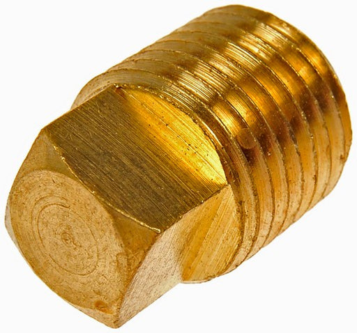 Pipe Plug Dorman-AutoGrade 785-071