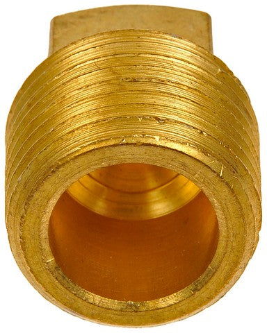 Pipe Plug Dorman-AutoGrade 785-073