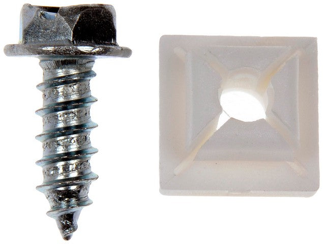 License Plate Mounting Hardware Dorman-AutoGrade 785-148